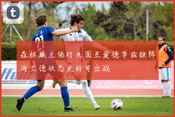 森林狼主场对决国王爱德华兹缺阵海兰德状态良好可出战