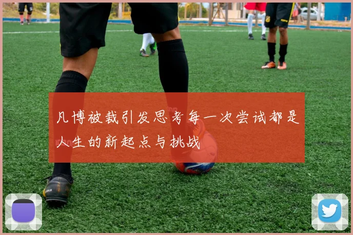 凡博被裁引发思考每一次尝试都是人生的新起点与挑战