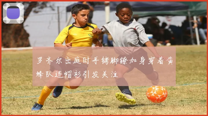 罗齐尔出庭时手铐脚镣加身穿着黄蜂队连帽衫引发关注