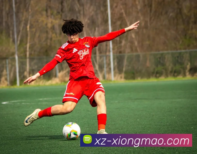 熊猫体育平台生态图